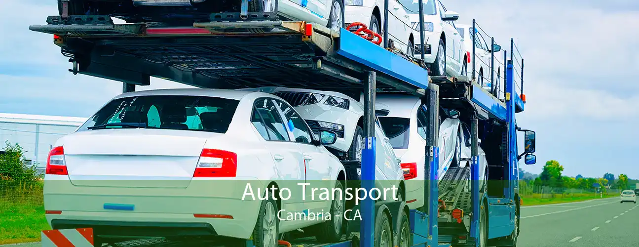 Auto Transport Cambria - CA