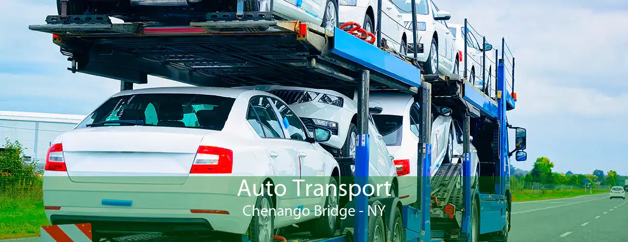 Auto Transport Chenango Bridge - NY