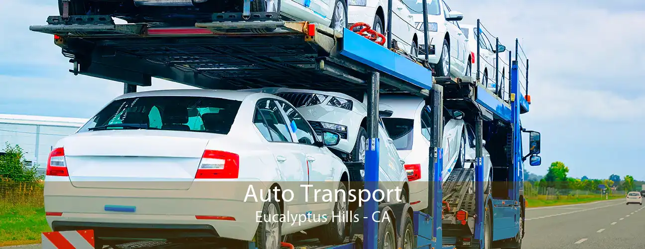 Auto Transport Eucalyptus Hills - CA