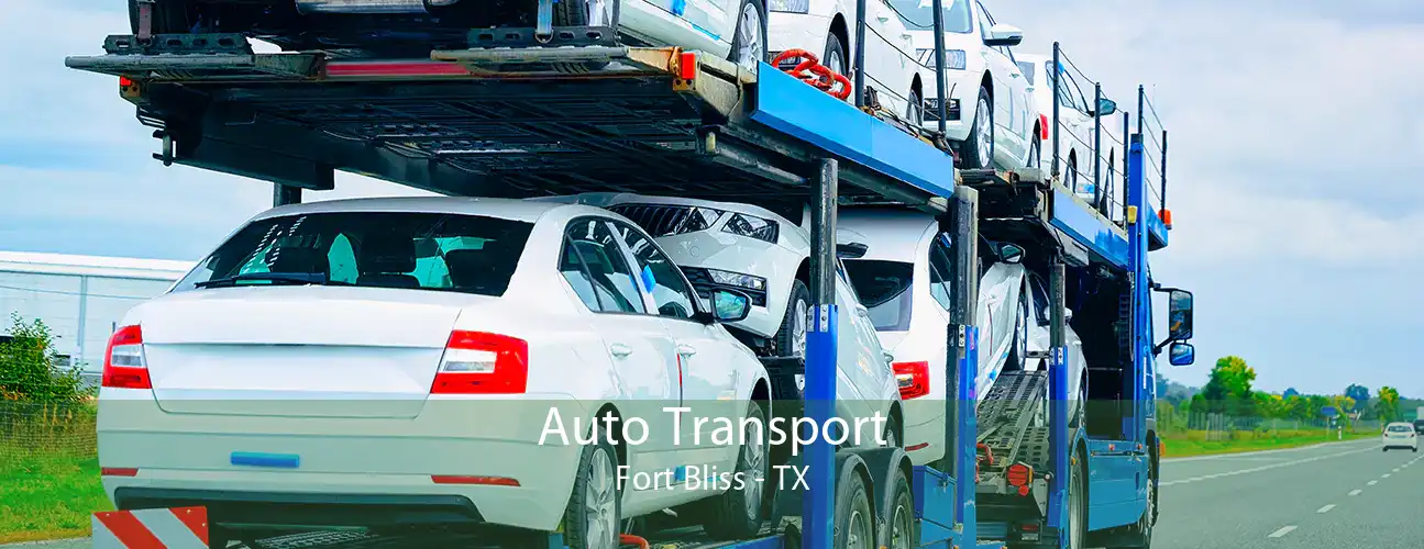 Auto Transport Fort Bliss - TX