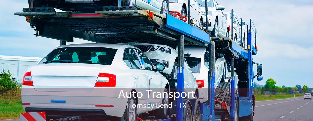 Auto Transport Hornsby Bend - TX