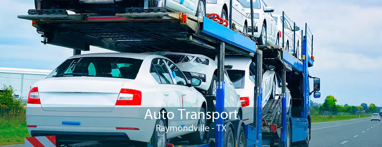 Auto Transport Raymondville - TX