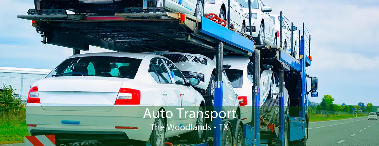 Auto Transport The Woodlands - TX