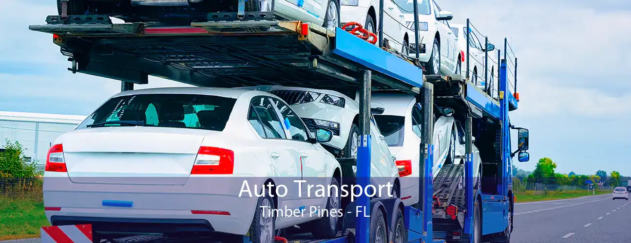 Auto Transport Timber Pines - FL