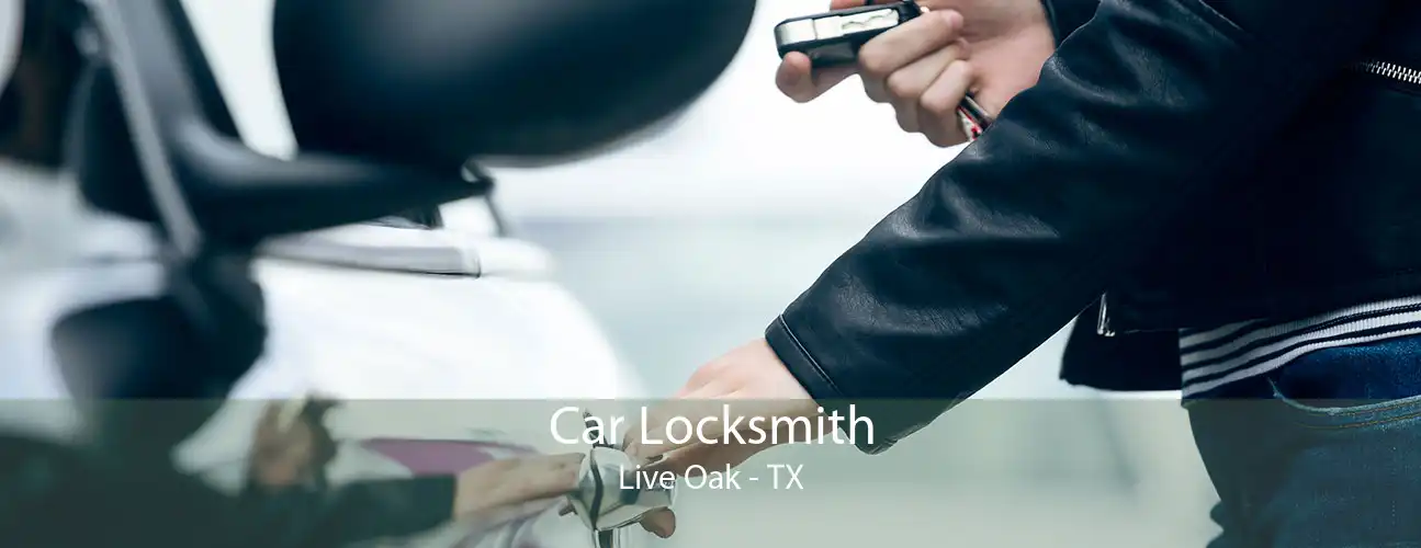 Car Locksmith Live Oak - TX