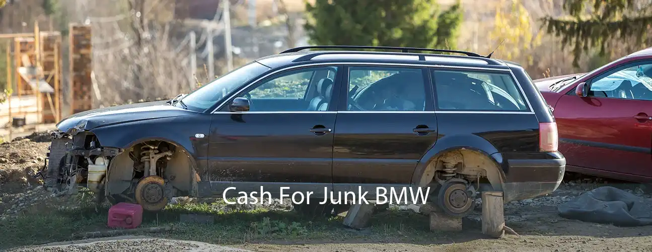 Cash For Junk BMW 