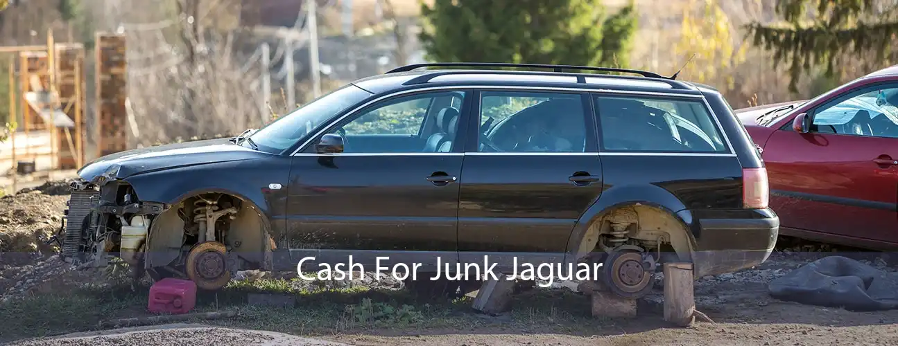 Cash For Junk Jaguar 