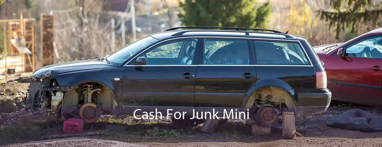 Cash For Junk Mini 