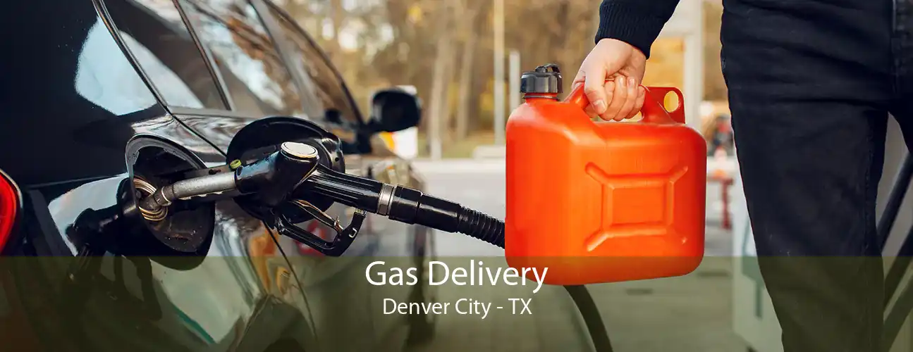 Gas Delivery Denver City - TX