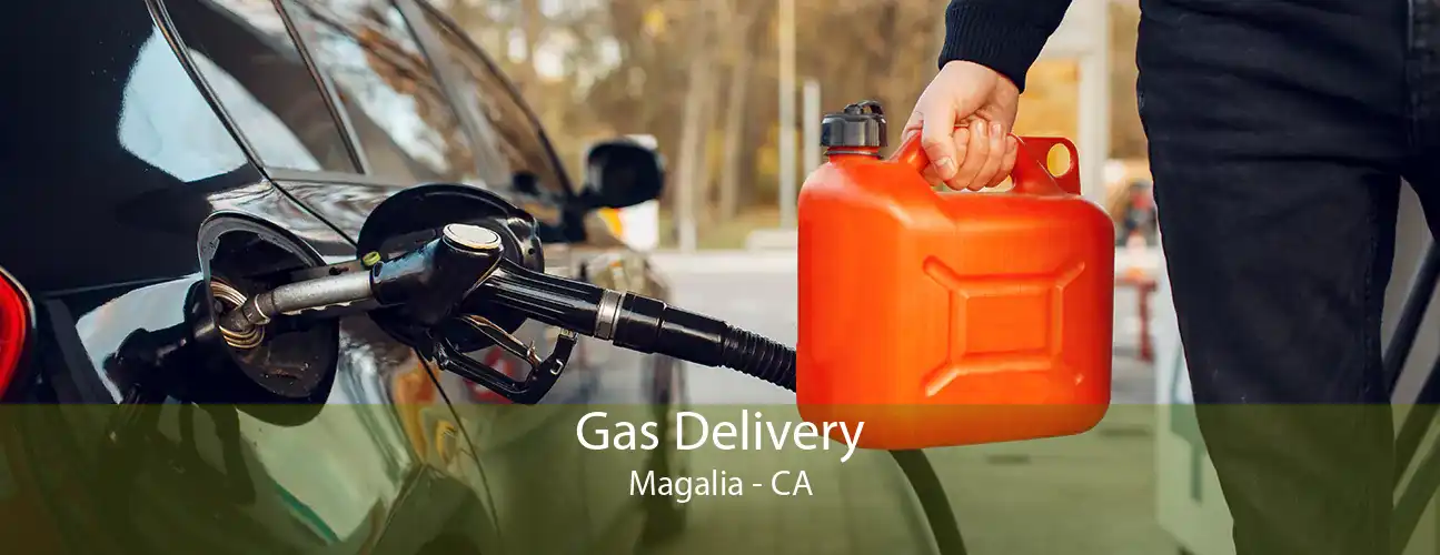Gas Delivery Magalia - CA