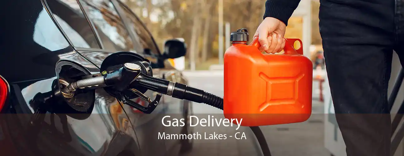 Gas Delivery Mammoth Lakes - CA