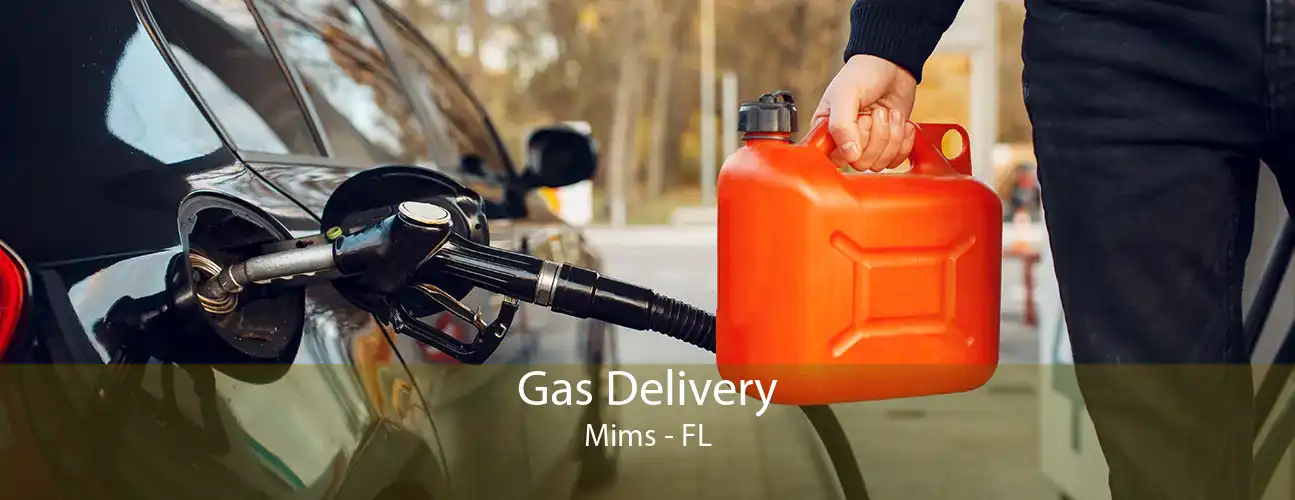 Gas Delivery Mims - FL