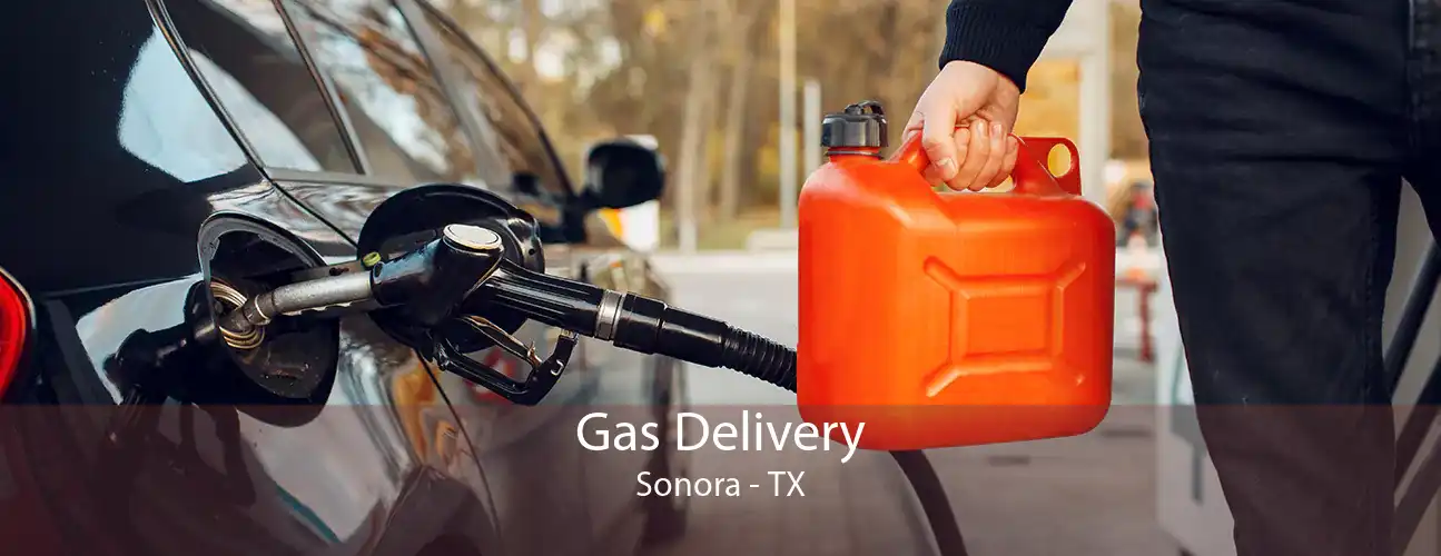 Gas Delivery Sonora - TX