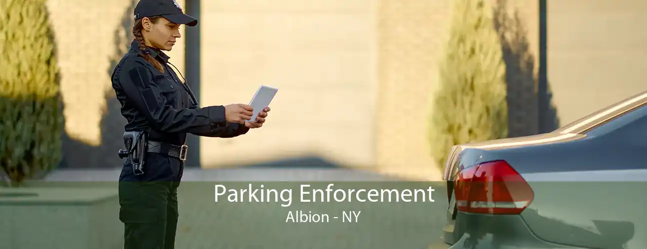 Parking Enforcement Albion - NY
