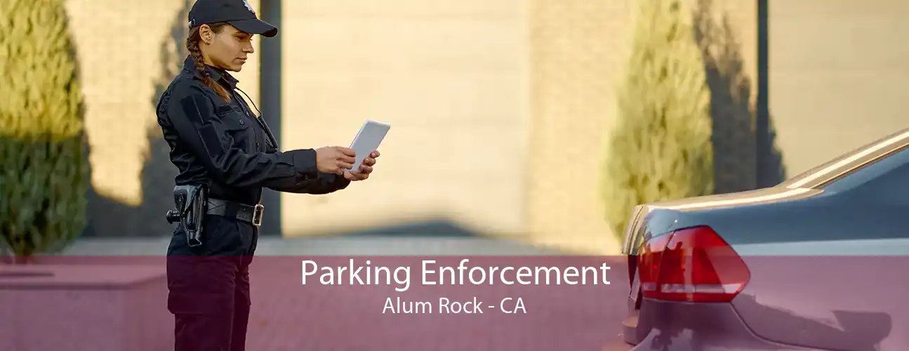 Parking Enforcement Alum Rock - CA