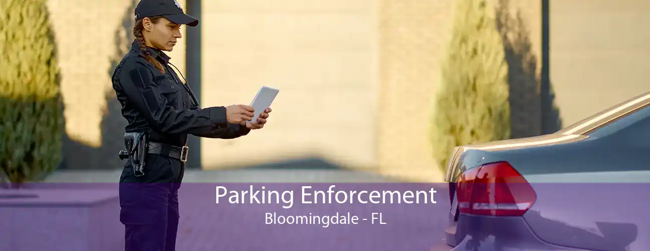 Parking Enforcement Bloomingdale - FL