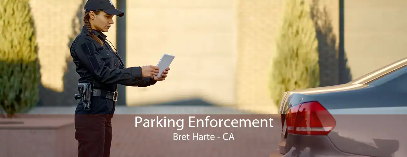 Parking Enforcement Bret Harte - CA