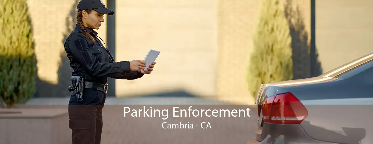 Parking Enforcement Cambria - CA