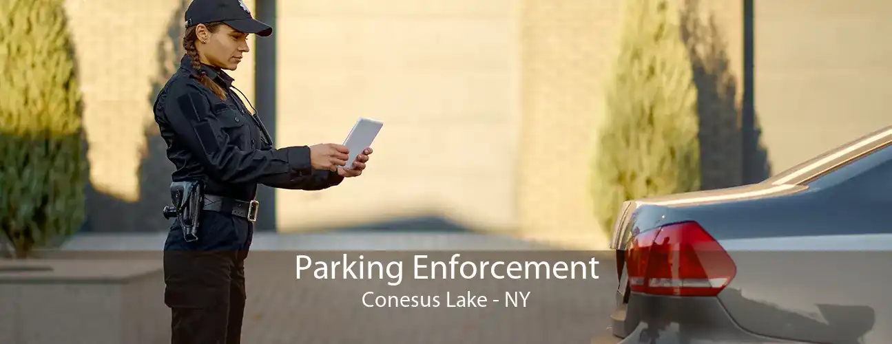Parking Enforcement Conesus Lake - NY