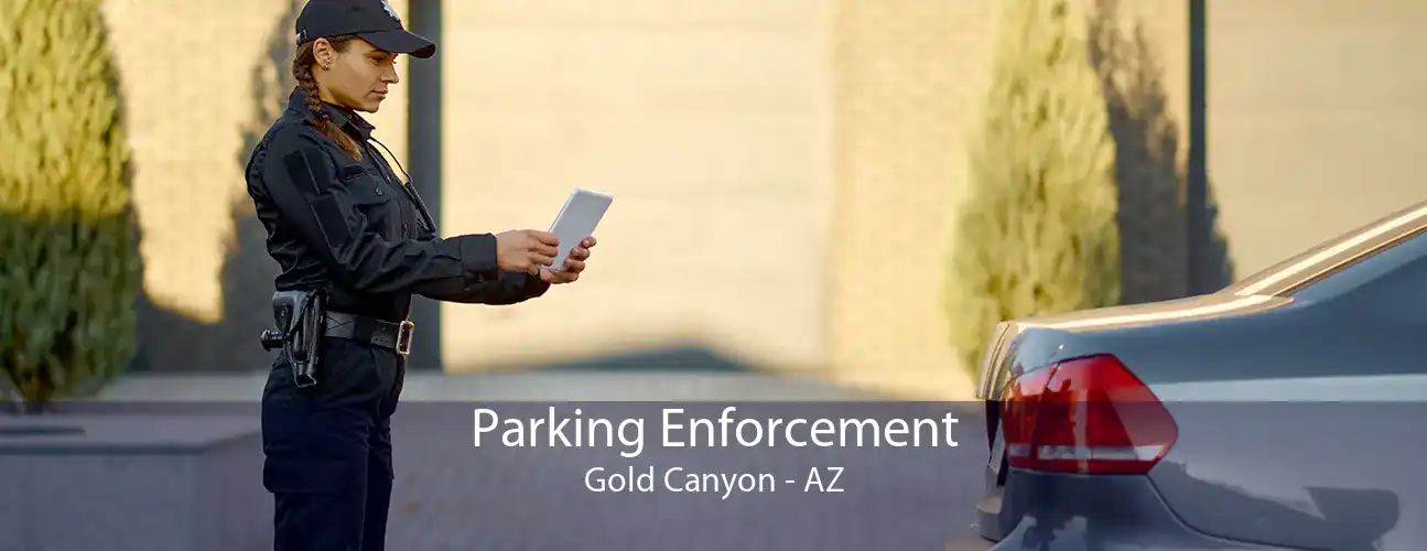 Parking Enforcement Gold Canyon - AZ