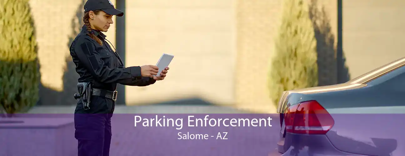 Parking Enforcement Salome - AZ