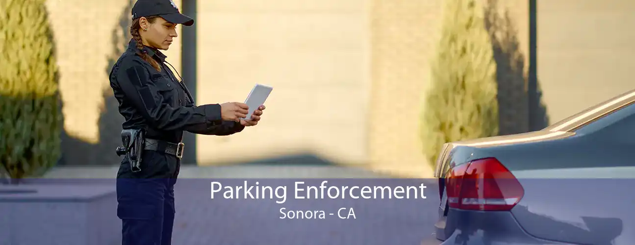 Parking Enforcement Sonora - CA