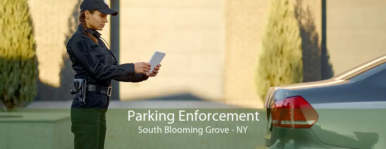 Parking Enforcement South Blooming Grove - NY