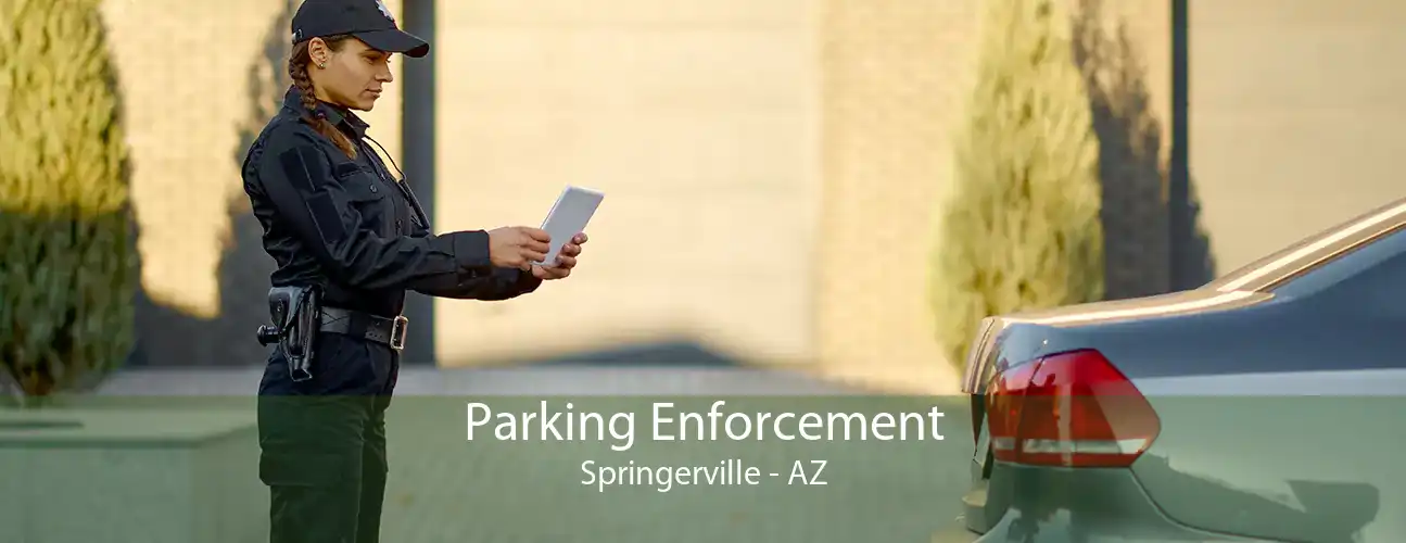 Parking Enforcement Springerville - AZ
