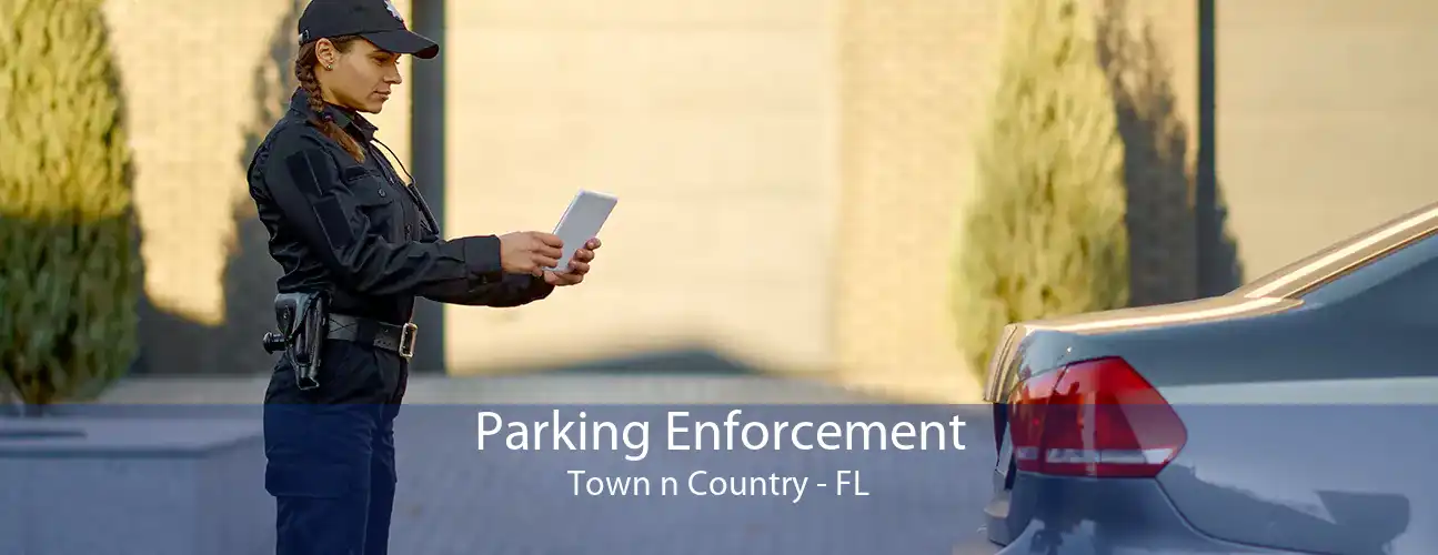Parking Enforcement Town n Country - FL