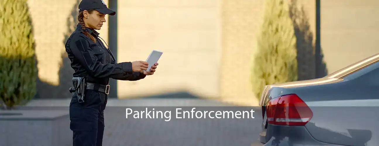 Parking Enforcement 