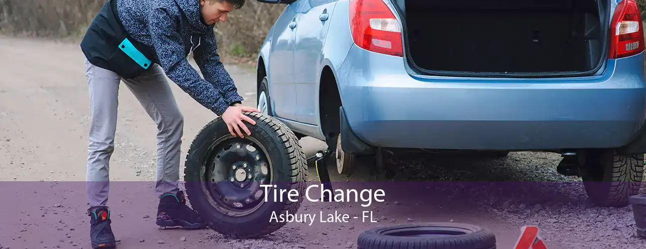 Tire Change Asbury Lake - FL