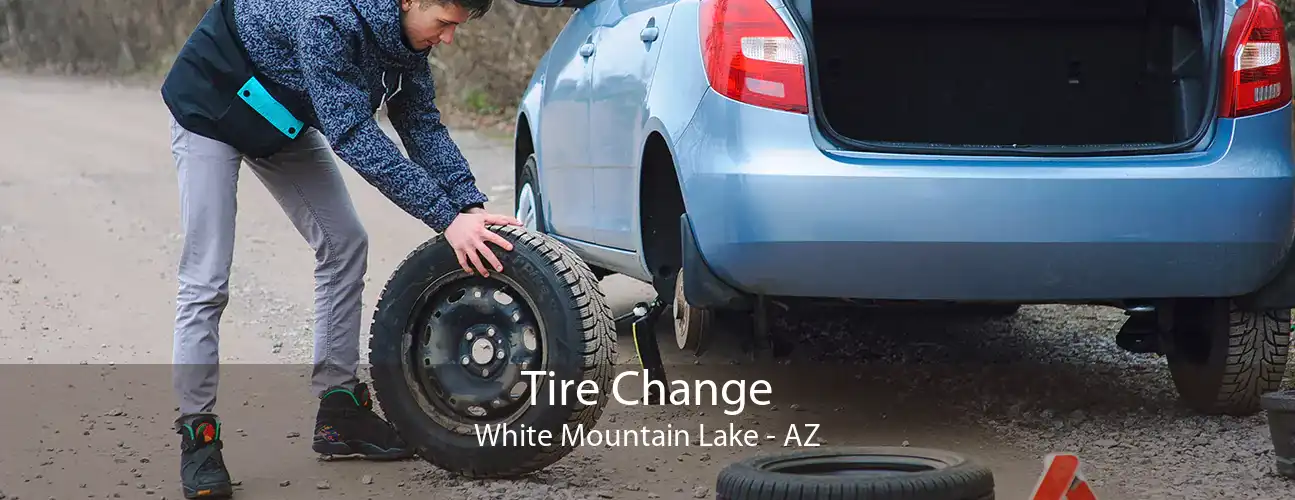 Tire Change White Mountain Lake - AZ