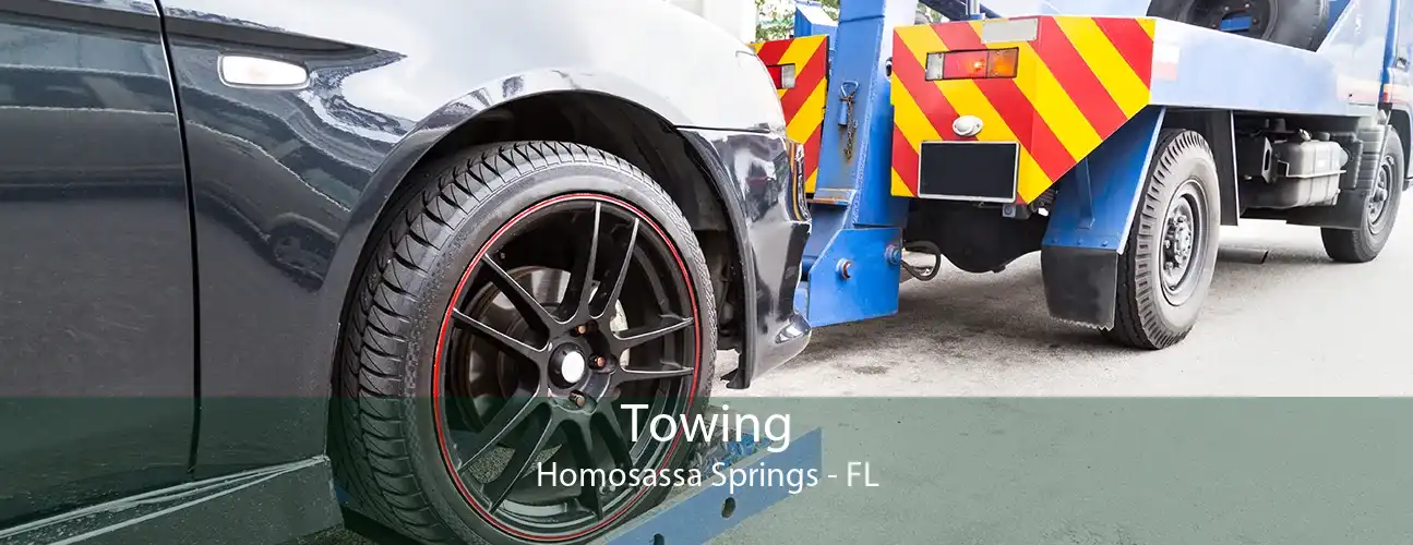 Towing Homosassa Springs - FL