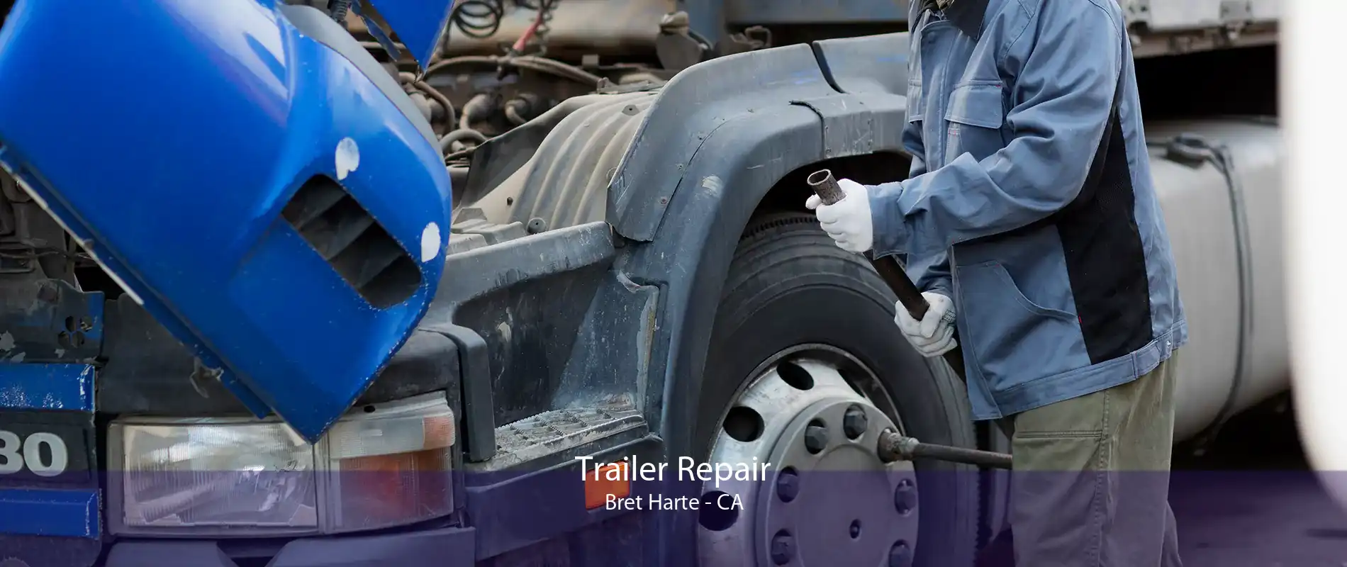 Trailer Repair Bret Harte - CA