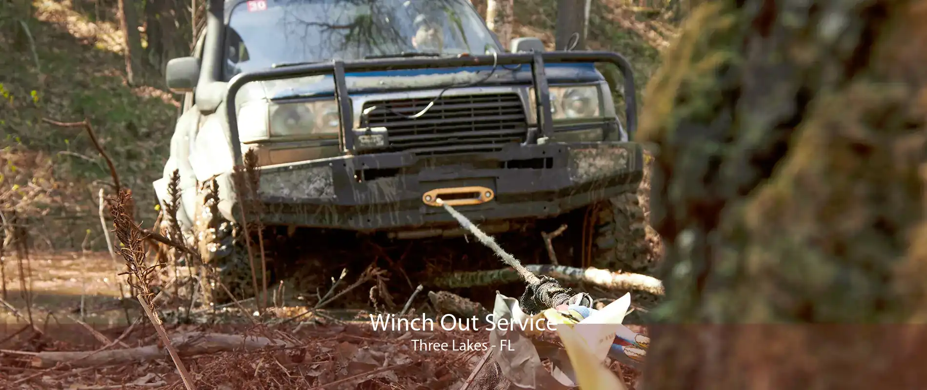 Winch Out Service Three Lakes - FL